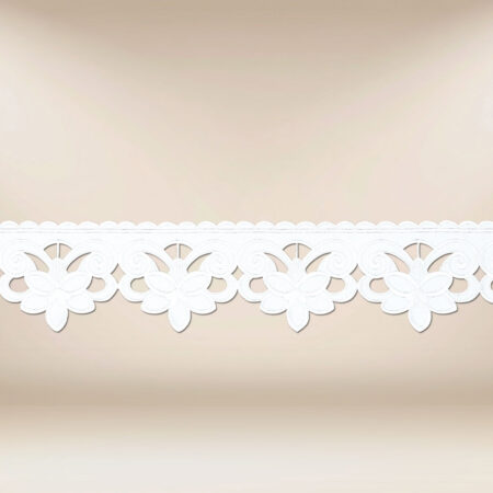 Encaje bordado blanco