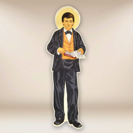 Aplicación bordada San Domingo Savio