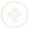 ic1_IS-1.png