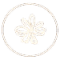 ic2-IS.png